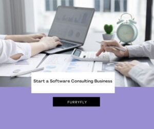 software consulting 